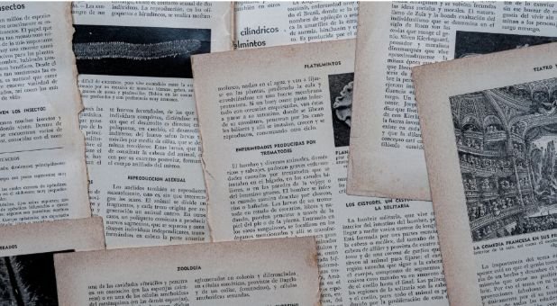Riding the Mule: The Adventure of Small Press Publication