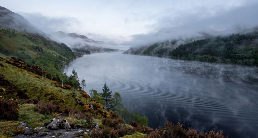 There's A Monster In The Lake Laura Fernandez Book Review