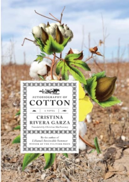 What Is Autobiography of Cotton About