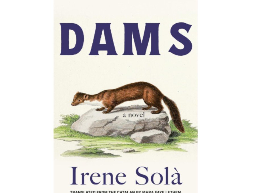 What Is Dams by Irene Solà About?