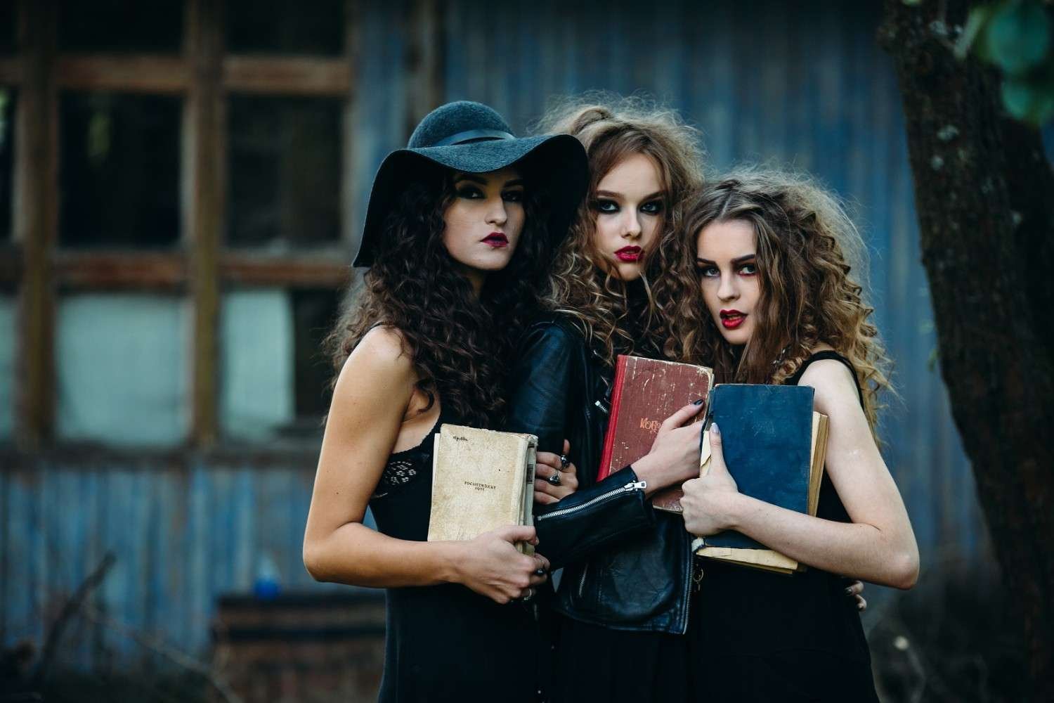How Do You Choose Your First Southern Gothic Book?