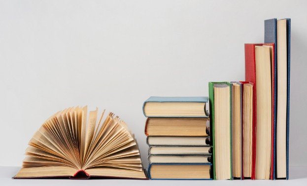 What Is the Book November 9 About - Full Guide