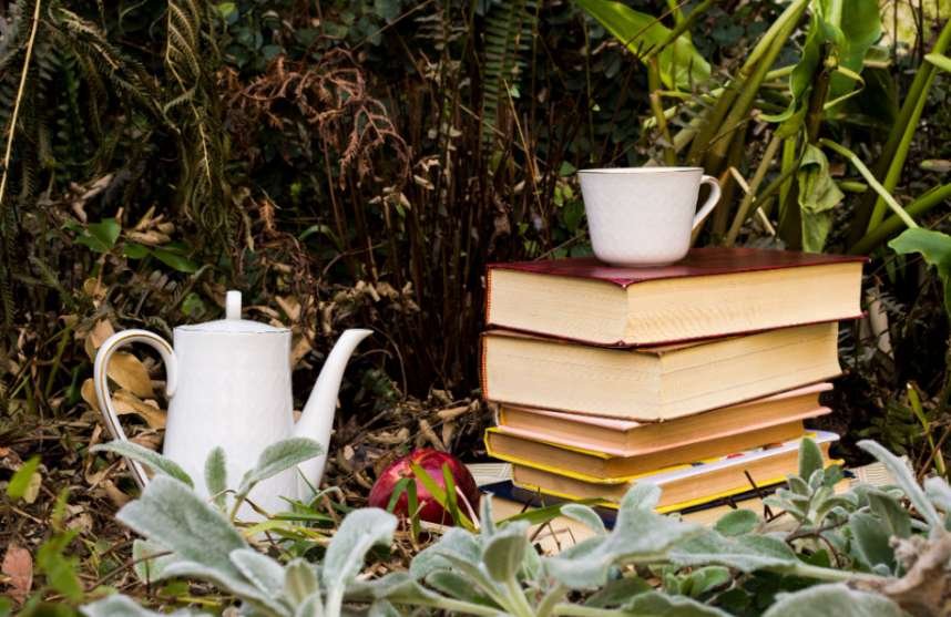 Which Novels Best Capture Small-Town and Working-Class America?