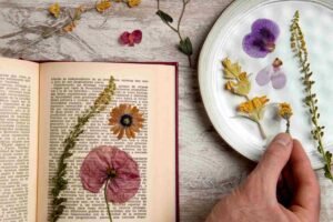 How to Press Flowers in a Book