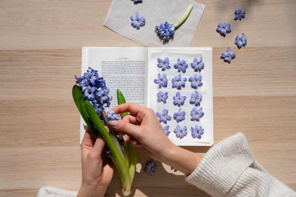 How to Press Flowers in a Book: Step-by-Step